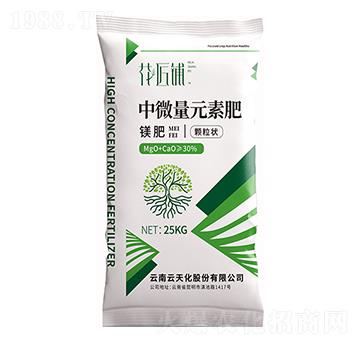 ��΢��Ԫ�طʣ��w���-�����-���V