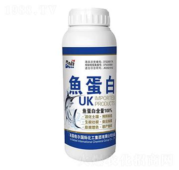 �M���~����-Ӣ������-�տ���