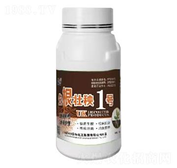 ��������1̖-Ӣ������-�տ���