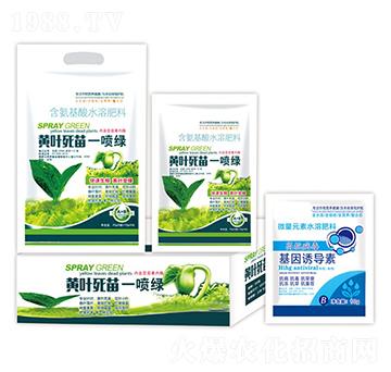 黃葉死苗一噴綠+基因誘導素-沃迪久