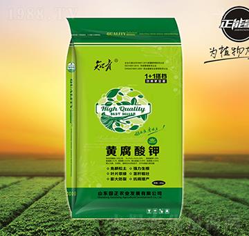 �S�����1+1��n-֪��-������