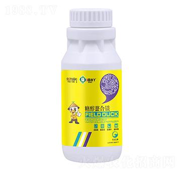 �Ǵ������V-��СѾ-�_������