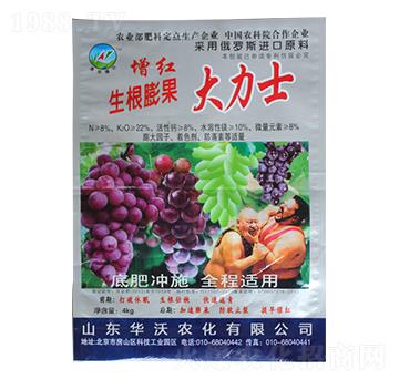 �����������ʿ-�A���r(n��ng)��