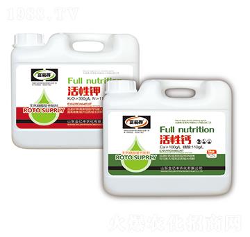 ��Ȼ�Ǵ������Ƅ�-�����}+�����-���׵�-���|�S