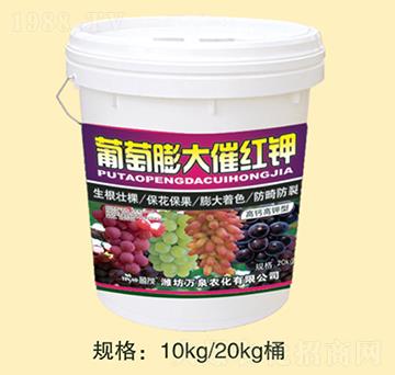 �������߼t�-�f(w��n)Ȫ�r(n��ng)��