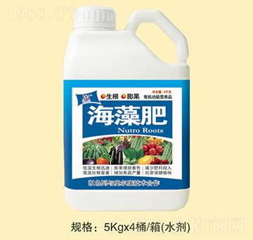 �����-�f(w��n)Ȫ�r(n��ng)��