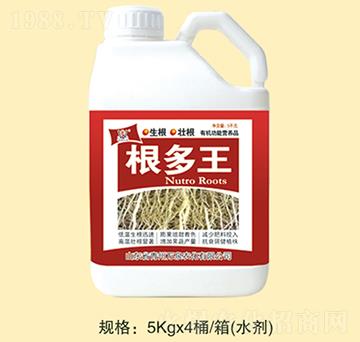 ������-�f(w��n)Ȫ�r(n��ng)��