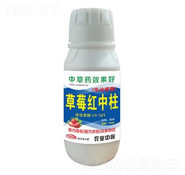 ��ݮ�t����-(li��n)�r(n��ng)���S��