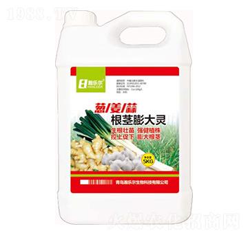 �[������o����`-嫘�