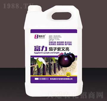 ����������-嫘���