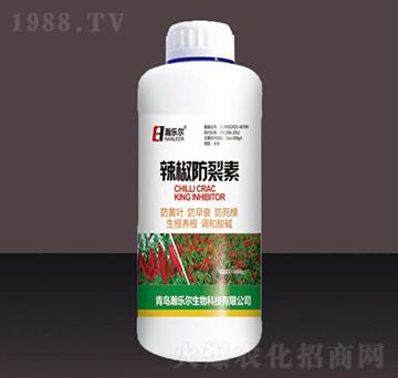 ����������-嫘���