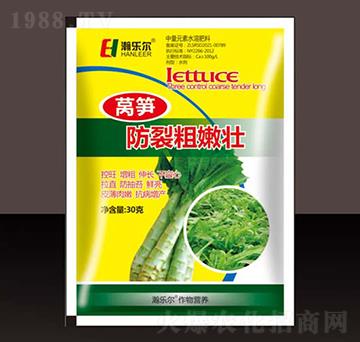 �n�S���Ѵ��ۉ�-嫘���