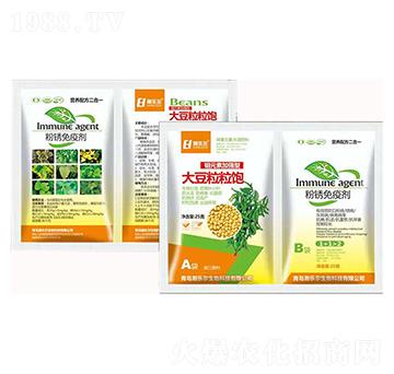 �������+���P���߄�-嫘���