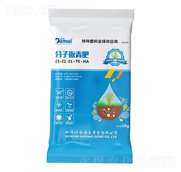 ���ӷ����21-21-