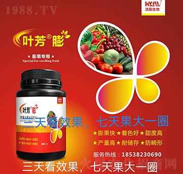 膨果專(zhuān)用-葉芳膨-浩陽(yáng)生物