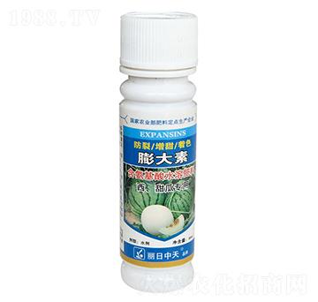 ��������ό���-���������-����ʘI(y��)