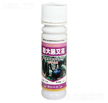 ��������-����ʘI(y��)