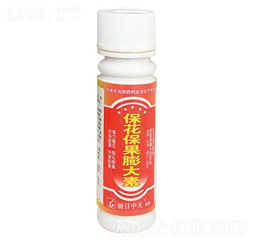 �������������-����ʘI(y��)