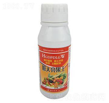 ���������-����ʘI(y��)