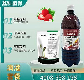 ΢��������������-�t����̿��-�ο�ֲ��