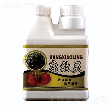 ��Ч�`-�W������