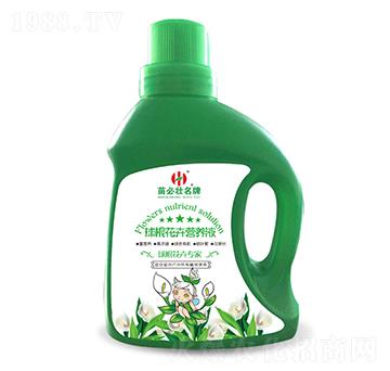 ������ܠI(y��ng)�B(y��ng)Һ-��؉�