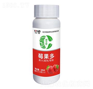 ݮ����-������