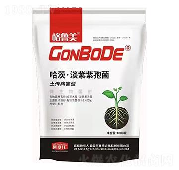 ���ġ��������߾�-������-������