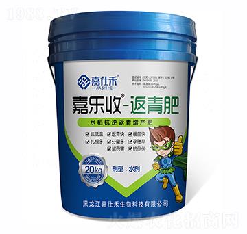 水稻抗逆返青增產(chǎn)肥-嘉樂(lè)收-嘉仕禾