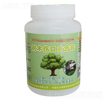 ��(sh��)ľ�������ϸ�-�r(n��ng)�־G�r(n��ng)�I(y��)