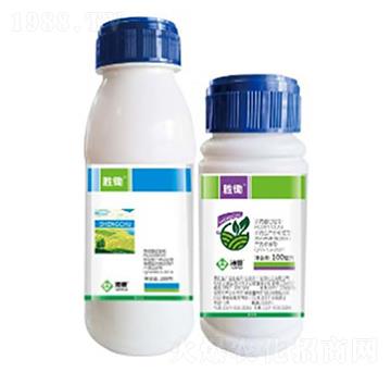 ���z-���՘�