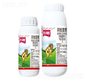 5%���S����΢�鄩-ʥ�S���S-���՘�(l��)