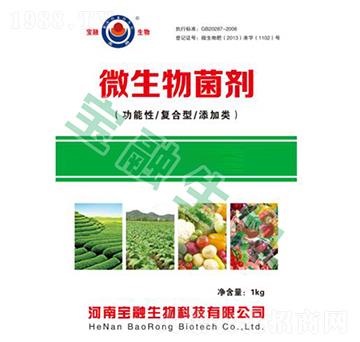 ΢�������������������(f��)�����������-��������