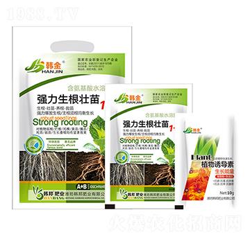 ������������1+1-�n