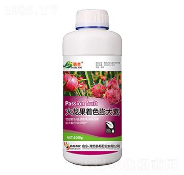 ��������ɫ�����-�n��