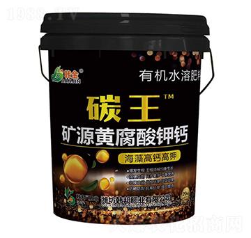 �VԴ�S������}-̼��-