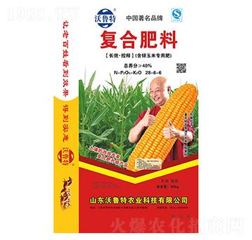 �ͺϷ���(���\���׌��÷�)28-6-6-������