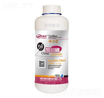 ƿ�b��(y��u)�|(zh��)�ЙC���-����