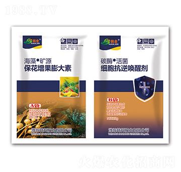 �������������-��(x��)����