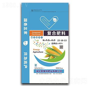 �ͺϷ���22-10-13-�N�S-���׵�