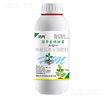 強力生根壯苗（二合一）-鴻鳴