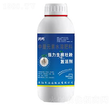 強(qiáng)力生根壯秧復(fù)合劑-鴻鳴