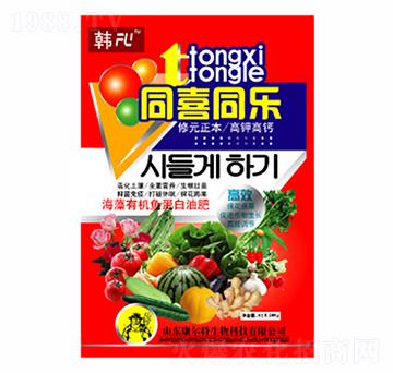 ͬϲͬ��(l��)-������