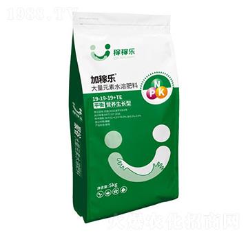 ƽ��I�B(y��ng)���L�ʹ���Ԫ��ˮ�ܷ���19-19-19+TE-�Ӽژ�-�ڼژ�