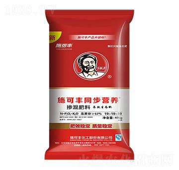 ͬ���I�B(y��ng)�������19-19-19-ِ�󻯹�