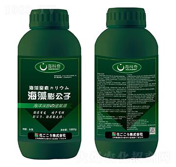 海藻膨公子-?？破? />
                                </div>
                            </div>
                            
                            <style type=