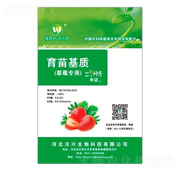 ��ݮ��(zhu��n)��������|(zh��)-���d����