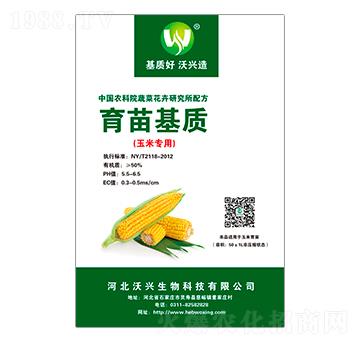 ���׌�(zhu��n)��������|(zh��)-���d����