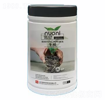 牛根-諾尼-紐歌潤(rùn)