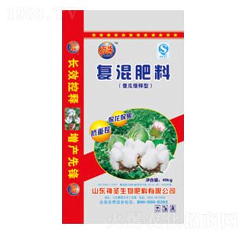 ����͏�(f��)�����-��ʥ����